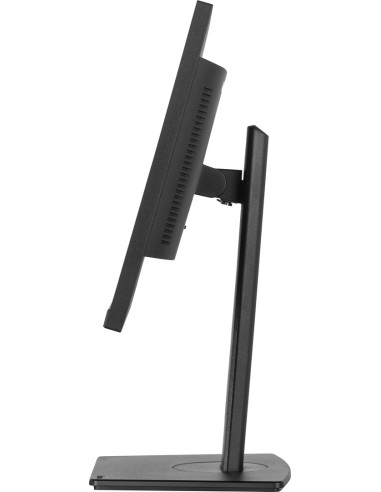 Monitor Usb-C, Lan, Dp-Out (Dock), 300Cd
