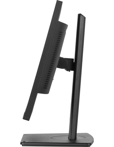 Monitor Usb-C, Lan, Dp-Out (Dock), 300Cd