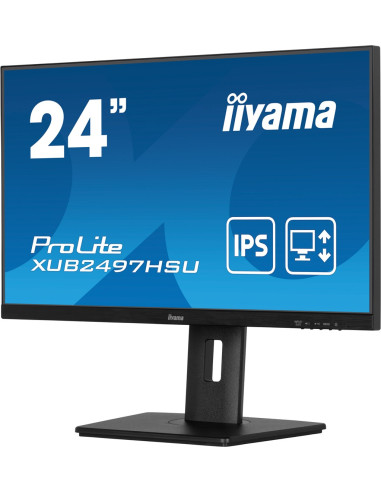 Monitor Ips 1H 1Dp, 2X2.0, 100Hz
