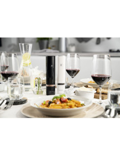 Zestaw 2 Młynków Zwilling Enfinigy 53103-702-0 2