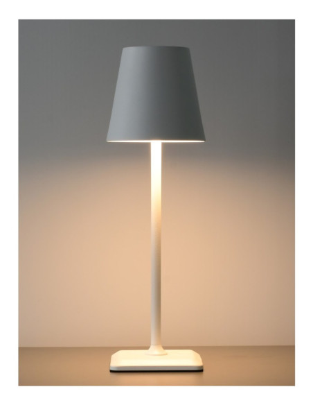 Techly I-Led Lamp-Wh Lampa Stołowa Niewymienialne Źródło Światła 3 W E Biały
