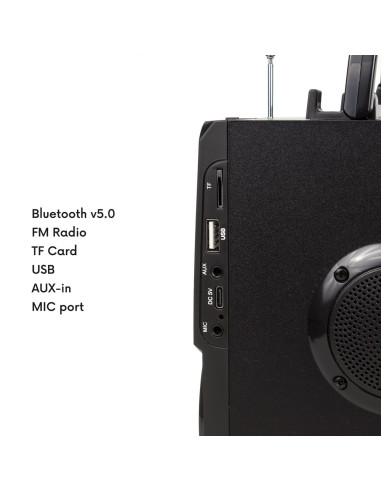 Głośnik Przenośny Bluetooth Audiocore, Radio Fm, Wejście Kart Sd/Mmc, Aux, Usb, Pilot, Ac730