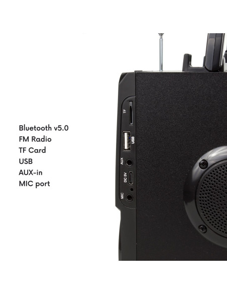 Głośnik Przenośny Bluetooth Audiocore, Radio Fm, Wejście Kart Sd/Mmc, Aux, Usb, Pilot, Ac730