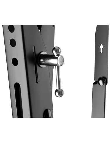 Wentronic Pro Tilt (Xl) 2,54 M (100") Czarny