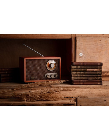 Radio Adler Ad 1171