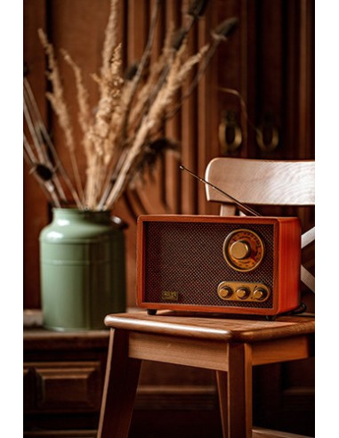 Radio Adler Ad 1171