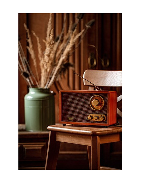 Radio Adler Ad 1171