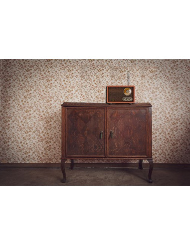 Radio Adler Ad 1171