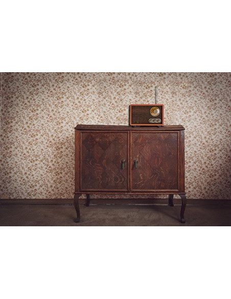 Radio Adler Ad 1171