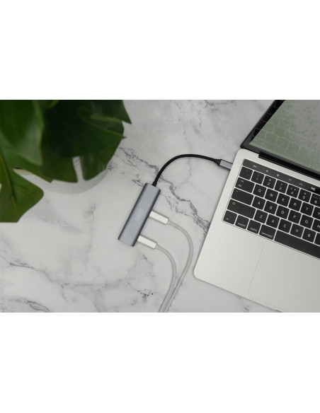 Usb-C 4 Port Hub/4X Usb-C