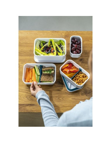 Plastikowy Lunch Box Zwilling Fresh & Save 36801-310-0 - Morski 1.6 Ltr