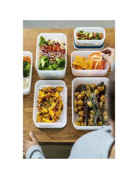 Plastikowy Lunch Box Zwilling Fresh & Save 36801-315-0 1 L
