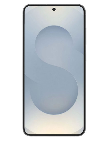 Samsung Galaxy S25 12/128Gb Silver Shadow