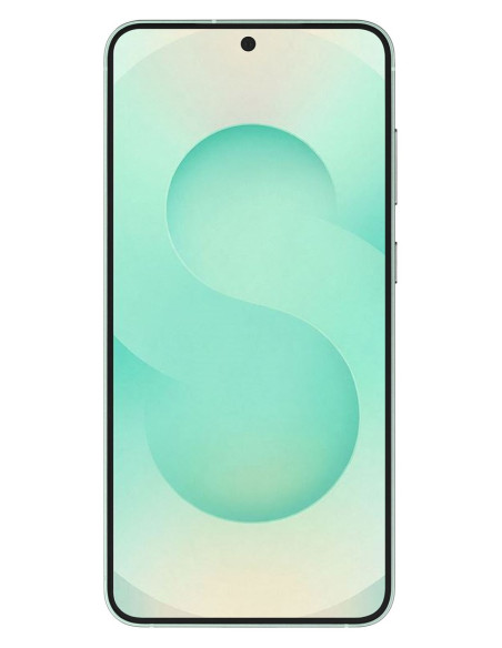 Samsung Galaxy S25 12/128Gb Mint