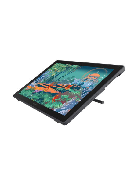 Tablet Graficzny  Huion Kamvas 24 Plus