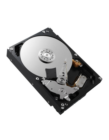 Dysk Hdd Toshiba P300 Hdwd110Uzsva (1 Tb   3.5"  64 Mb  7200 Obr/Min)