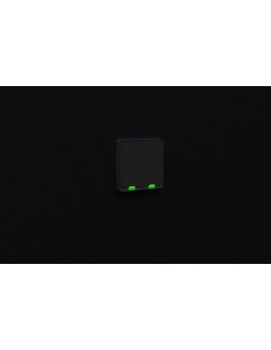 Włącznik Podwójny Tesla Tsl-Swi-Wifi2 Smart Switch Dual