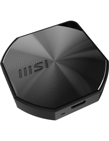Dysk Zewnętrzny Ssd Msi Datamag 20Gbps 1Tb