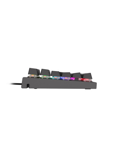 Klawiatura Dla Graczy Genesis Thor 300 Rgb Es Podświetlenie Mechaniczna Red Switch Software