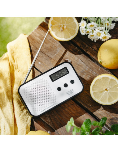 Radio Adler Ad 1907