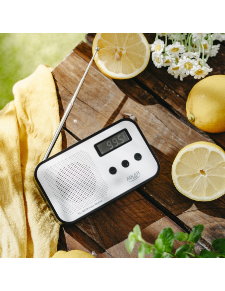 Radio Adler Ad 1907