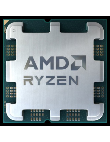 Procesor Amd Ryzen 9 7900 - Tray