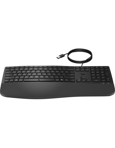 Klawiatura Hp 480 Comfort Wired Keyboard Przewodowa Czarna 8T6M1Aa