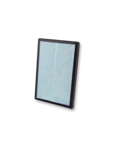 Esperanza Oczyszczacz Powietrza Bora Ehp003