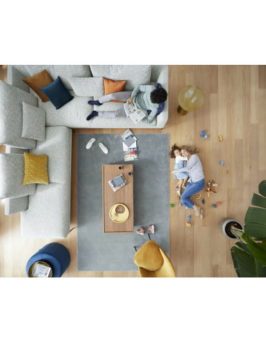 Odkurzacz Pionowy Philips Xc8349/01 Czarny