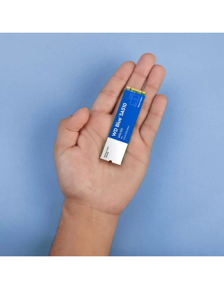 500Gb Blue Ssd M.2 Sa510 2280/Sata Iii 6 Gb/S