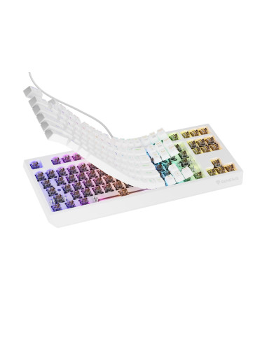 Genesis Thor 230 Tkl Klawiatura Gaming Usb + Rf Wireless + Bluetooth Qwerty Biały