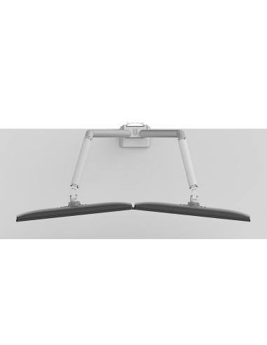 Neomounts Ds70-250Sl2 Uchwyt / Stojak Do Monitorów 81,3 Cm (32") Biurko Srebrny