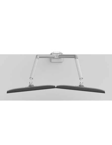 Neomounts Ds70-250Sl2 Uchwyt / Stojak Do Monitorów 81,3 Cm (32") Biurko Srebrny