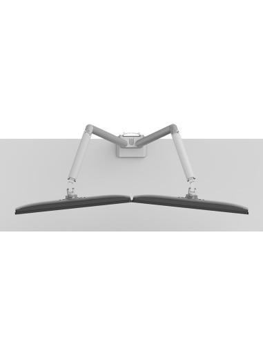 Neomounts Ds70-250Sl2 Uchwyt / Stojak Do Monitorów 81,3 Cm (32") Biurko Srebrny