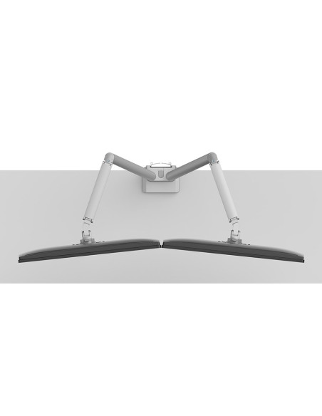 Neomounts Ds70-250Sl2 Uchwyt / Stojak Do Monitorów 81,3 Cm (32") Biurko Srebrny