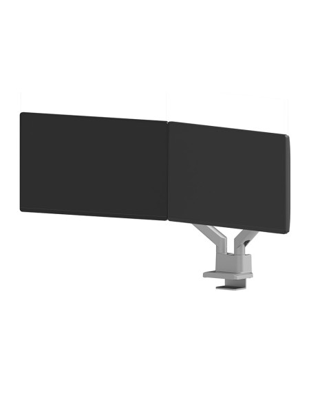 Neomounts Ds70-250Sl2 Uchwyt / Stojak Do Monitorów 81,3 Cm (32") Biurko Srebrny