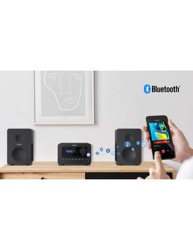 Sharp Tokyo Dab+ Hi-Fi Micro System System Micro Domowego Audio 40 W Czarny