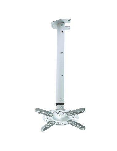 Techly Ica-Pm 102Xl Uchwyt Do Montażu Projektora Sufit Srebrny