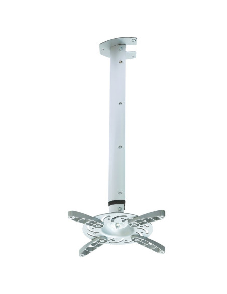 Techly Ica-Pm 102Xl Uchwyt Do Montażu Projektora Sufit Srebrny