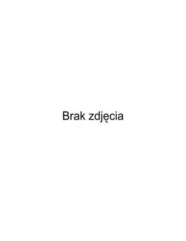 Techly Ica-Lcd 482-D Uchwyt / Stojak Do Monitorów 68,6 Cm (27") Czarny Biurko
