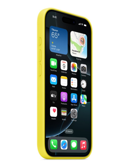 Etui Do Apple Iphone16 Pro Silicone Case With Magsafe - Star Fruit