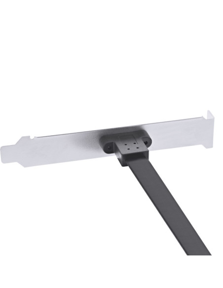 Inline 33446G Adapter Usb 3.2 Gen 2 (3.1 Gen 2)