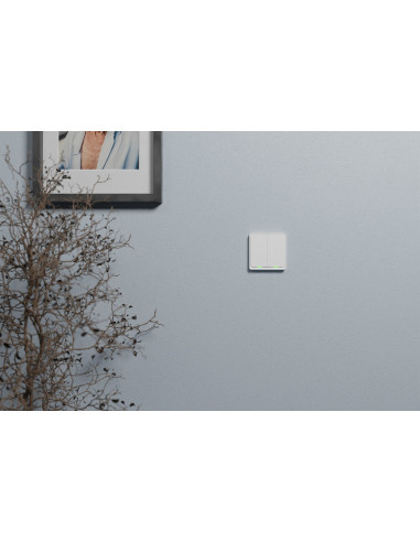 Włącznik Podwójny Tesla Tsl-Swi-Zigbee2 Smart Switch Dual Zigbee