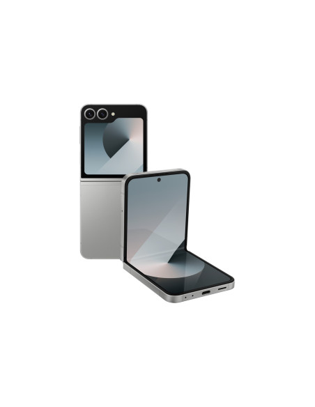 Samsung Galaxy Z Flip 6 (F741B) Ds 5G 12/256Gb Silver Shadow