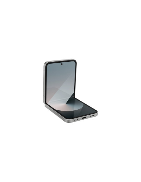 Samsung Galaxy Z Flip 6 (F741B) Ds 5G 12/256Gb Silver Shadow