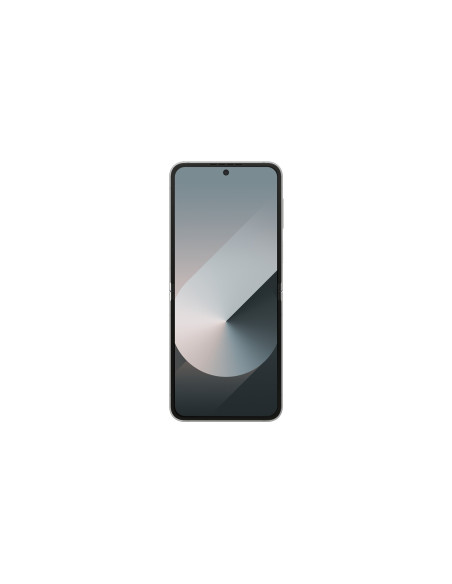 Samsung Galaxy Z Flip 6 (F741B) Ds 5G 12/256Gb Silver Shadow