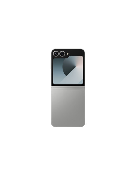 Samsung Galaxy Z Flip 6 (F741B) Ds 5G 12/256Gb Silver Shadow