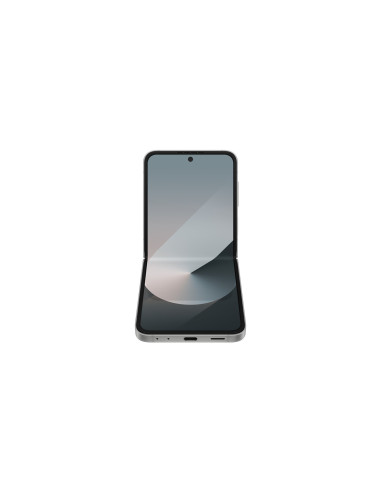 Samsung Galaxy Z Flip 6 (F741B) Ds 5G 12/256Gb Silver Shadow