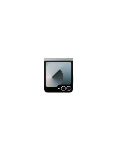 Samsung Galaxy Z Flip 6 (F741B) Ds 5G 12/256Gb Silver Shadow