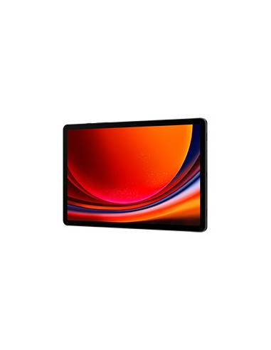 Samsung Galaxy Tab S9 (X716) 5G 8/128Gb Graphite